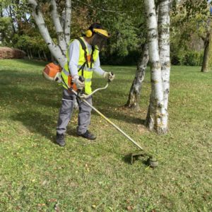 Entretien d'espaces verts Mulhouse