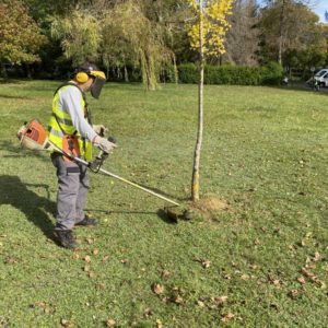 Entretien d'espaces verts Mulhouse