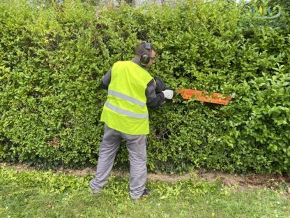 Entretien d'espaces verts Mulhouse