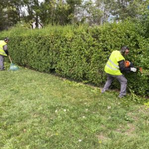 Entretien d'espaces verts Mulhouse