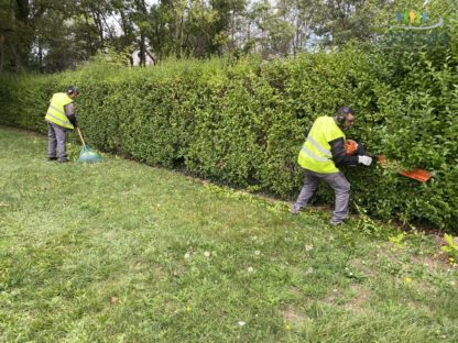 Entretien d'espaces verts Mulhouse