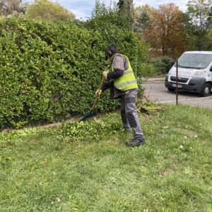 Entretien d'espaces verts Mulhouse