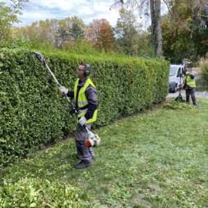 Entretien d'espaces verts Mulhouse