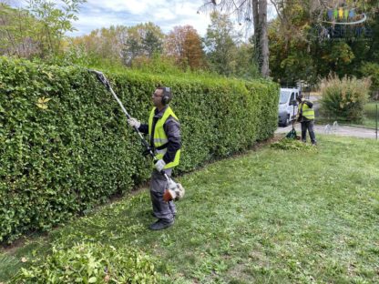 Entretien d'espaces verts Mulhouse