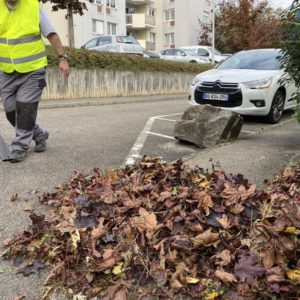 Entretien d'espaces verts Mulhouse