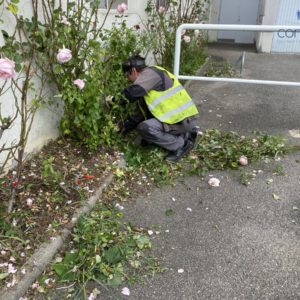 Entretien d'espaces verts Mulhouse