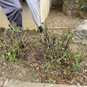 Entretien d'espaces verts Mulhouse