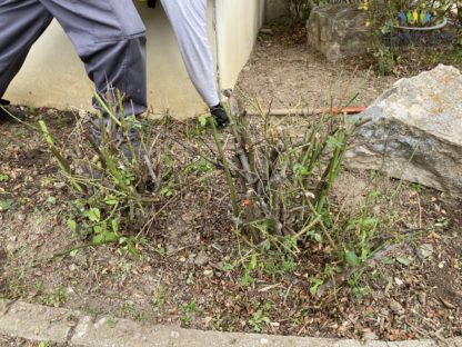 Entretien d'espaces verts Mulhouse