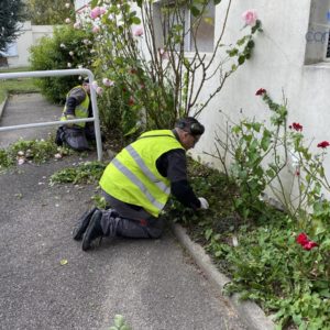 Entretien d'espaces verts Mulhouse