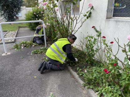 Entretien d'espaces verts Mulhouse