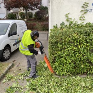 Entretien d'espaces verts Mulhouse