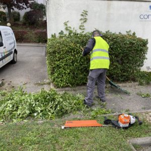 Entretien d'espaces verts Mulhouse