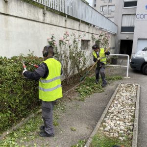 Entretien d'espaces verts Mulhouse