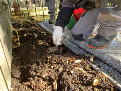 Entretien et fleurissement de tombes dans les cimetières à Mulhouse